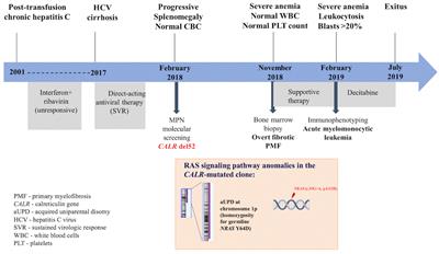 Leukemic conversion involving RAS mutations of type 1 CALR-mutated primary myelofibrosis in a patient treated for HCV cirrhosis: a case report